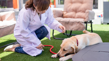 ご自宅まで伺う往診も行っています