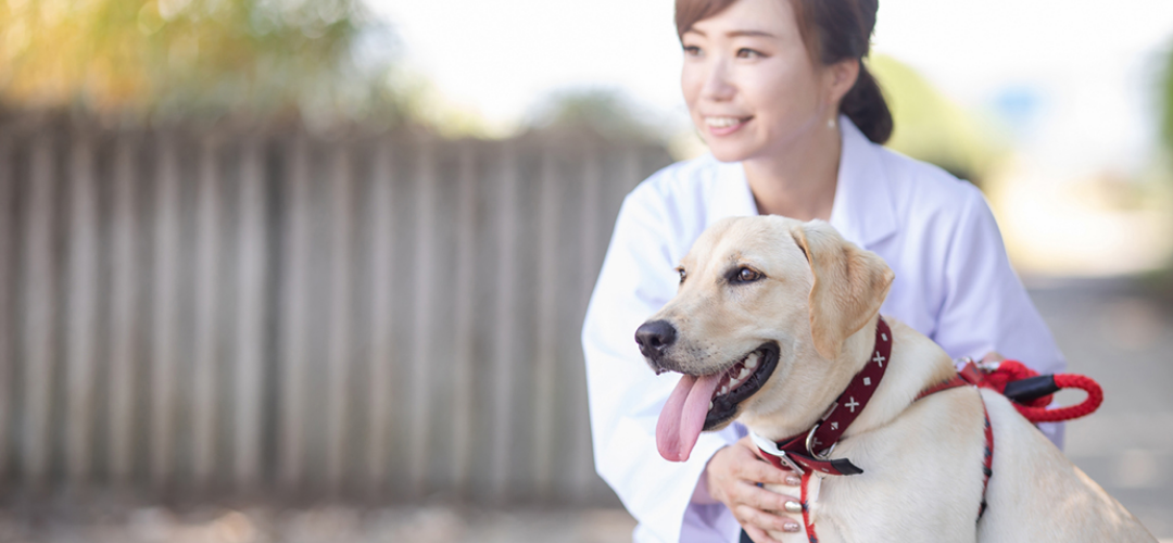 なめしきたむら動物病院トップ画像